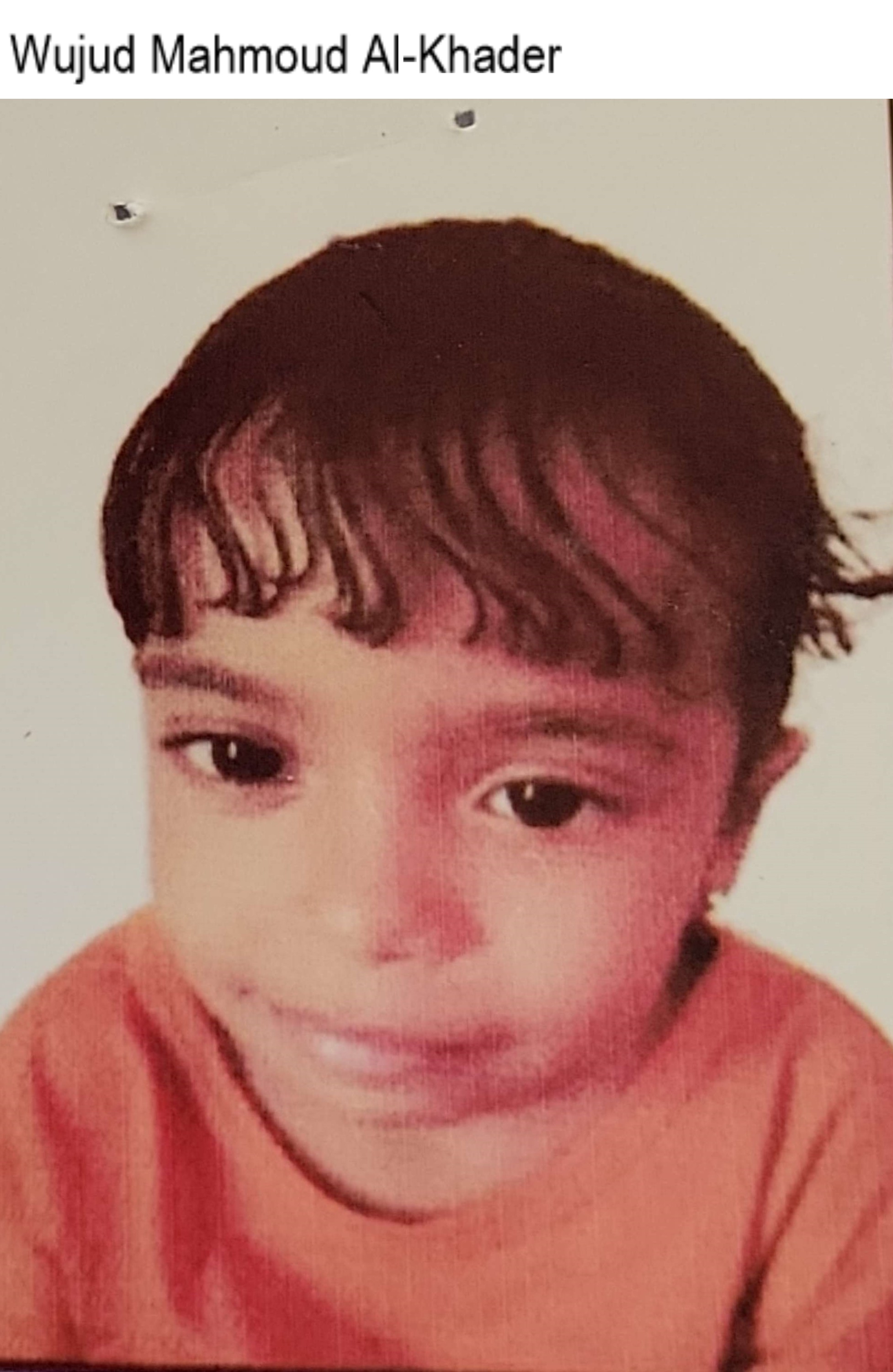 Wujud Mahmoud Al-Khader Sheikh